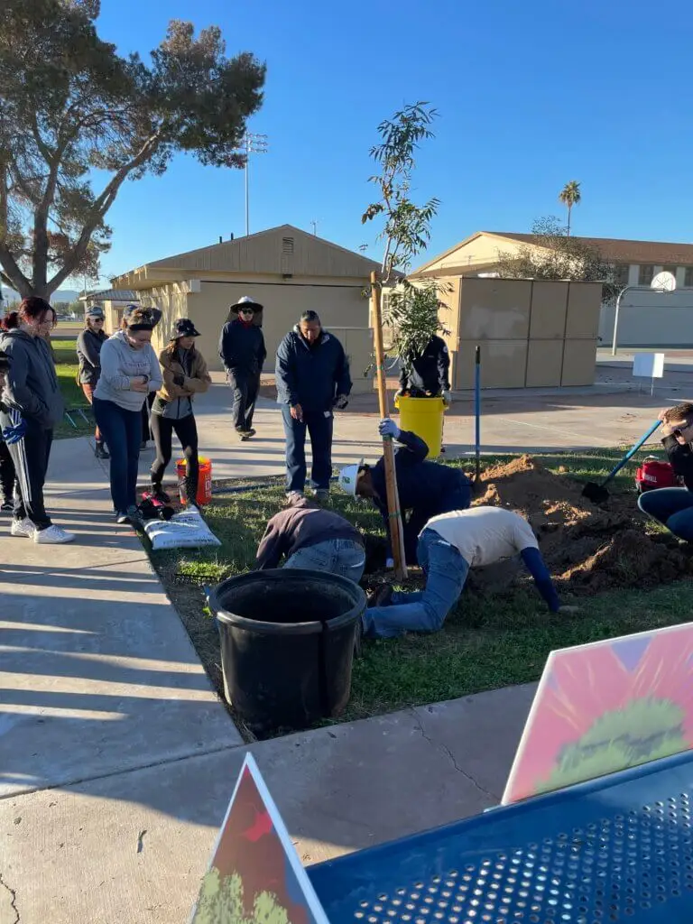 Impact Maker AZ Tree Equity Team planting event